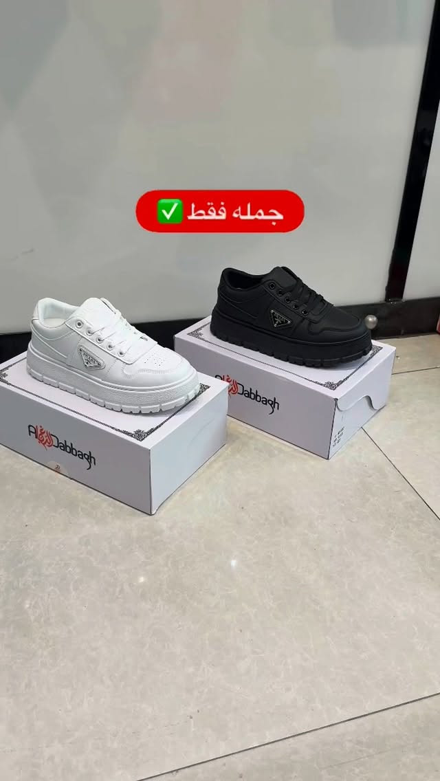 جمله فقط • ١٢ قطعة • لونين