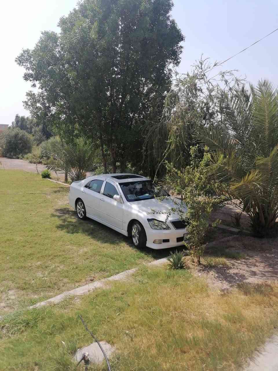 شاهينه ٢٠٠٥ • فول مواصفات • فلوجه