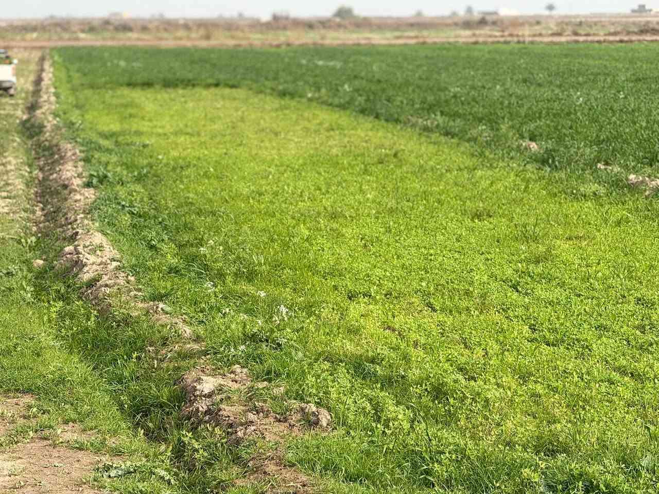 السلام عليكم ورحمة الله وبركاته 

ارض زراعيه للبيع المساحه ٥ دونم طابو سند ٢٥ 

تحويل مباشر تتوفر جميع الخدمات اساله كهرباء 

ماء سقي صيف شتاء وجه الارض ٥٠م والنزال ٢٥٠م

المكان الصويره بدعت حمد سعر الدونم ١٣ مليون 

***********/. ***********
