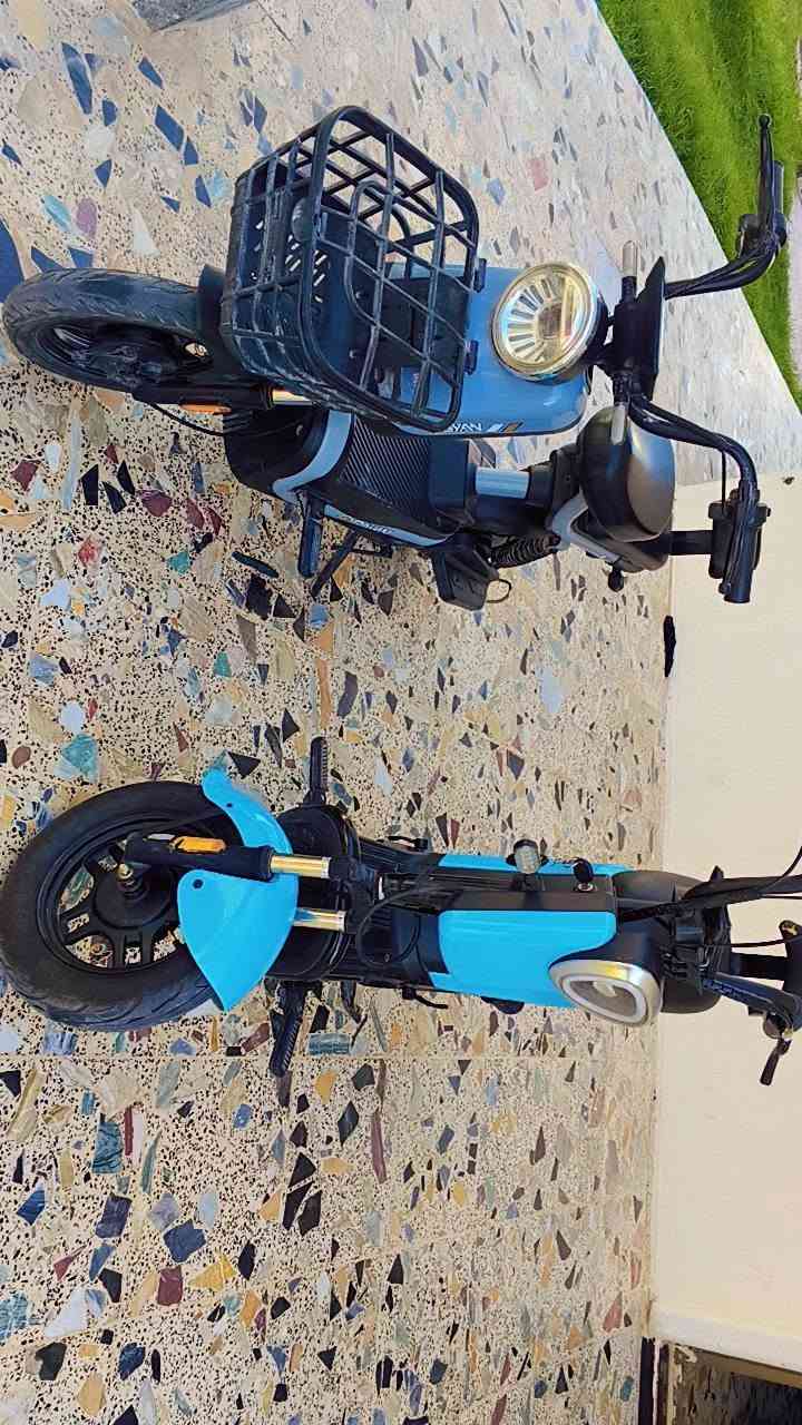 سلام عليكم دراجه حجم 14 كفاله بطاريات جديده دراجه نضيفه وخير من الله جاهزه من كلشي بغداد التاجي رقم  ‏‪***********‬‏
