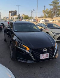 التیما ٢٠٢٤ • SL بلس • أربيل