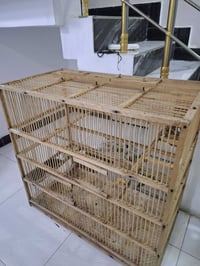 اقفاص • كبار • بصره جزيره