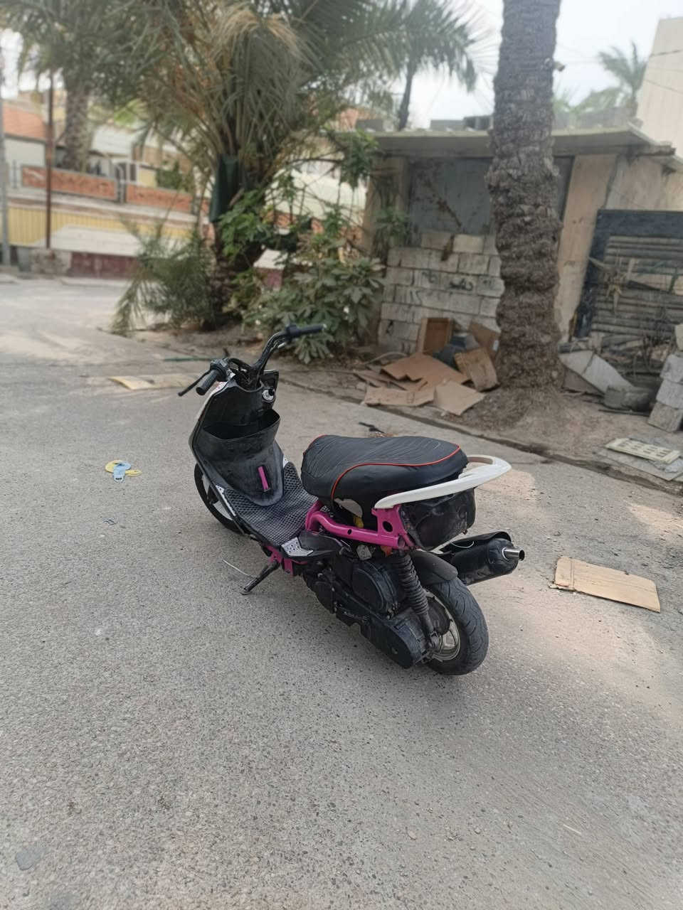 ماكس • لعب • نضيفه