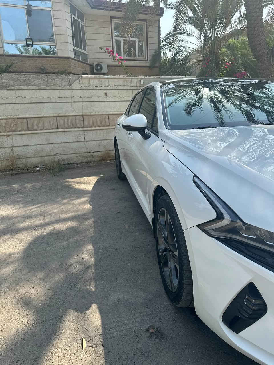 🚨 للبيع | Kia K5 2023 خليجي 🚨

🔥 كيا K5 موديل 2023
مواصفات خليجية
🔧 مكينة 2.0 لتر | 4 سلندر
⚙️ أوتوماتيك
📍 ضمان شركة الدولية
🛣️ ماشية 45,000 كم فقط
🔢 رقم بغداد

✨ أبرز المواصفات:
• محرك 2.0 لتر بقوة 152 حصان
• عزم 192 نيوتن.م
• قير أوتوماتيك 6 سرعات
• دفع أمامي FWD
• شاشة ومواصفات ترفيهية حديثة
• Apple CarPlay
• كاميرا خلفية
• حساسات ركن
• مثبت سرعة
• أنظمة أمان متعددة
• إضاءة LED
• مقاعد جلد
• فتحة سقف بانوراما
• تشغيل بصمة وتشغيل زر
• مواصفات خليجية مميزة

🟢 حالة السيارة:
السيارة نظيفة جداً وبحالة ممتازة، وبيها فقط ملاحظات بسيطة:

▪️ صبغ في بداية البنيد
▪️ بارد بسيط في الجاملغ الخلفي
▪️ غير ذلك السيارة جاهزة للفحص والبيع.

💰 السعر: 180 ورقة فقط

📍 مكان السيارة: بغداد – سبع أبكار

📞 للتواصل:
***********

⚡️ السيارة تستاهل الفحص، والفحص على المشتري.
