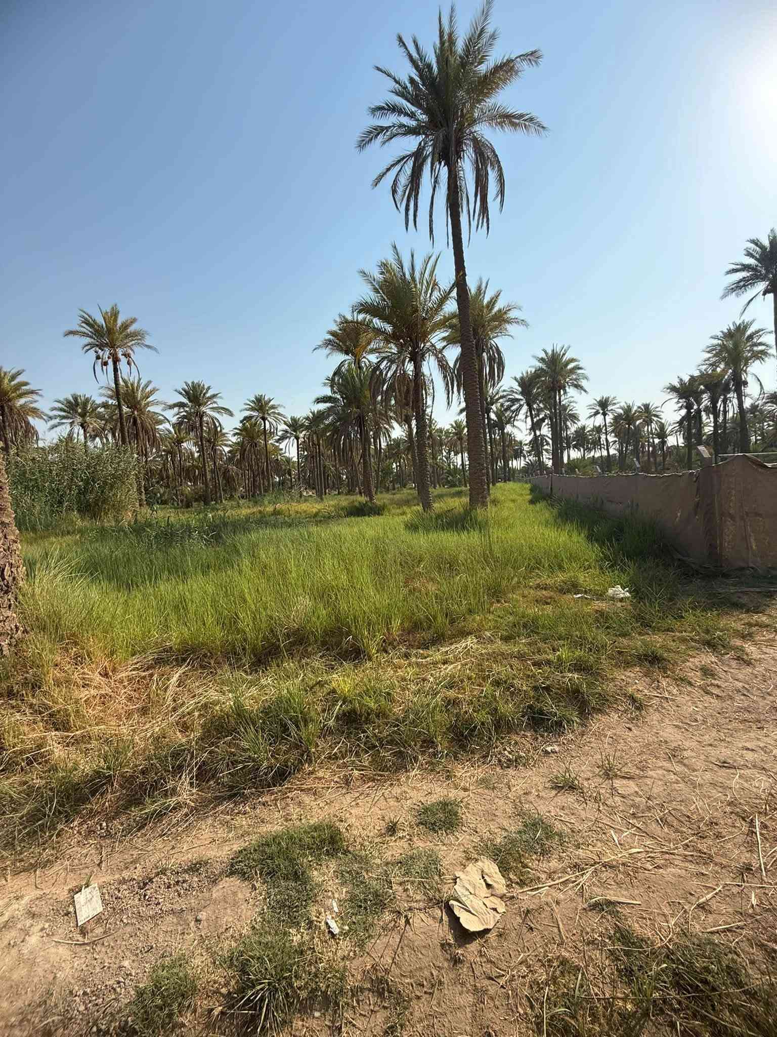 قطعه ارض للبيع العنوان كربلاء طويريج خلف البانزين خانه مال ابو جوعانه سند ٢٥  المساحه ١٣٤٠متر (واجهيه٢٠م*نزال٦٧م) للأستفسار الاتصال على الرقم التالي *********** رجاً الموشراي لايتعبني
