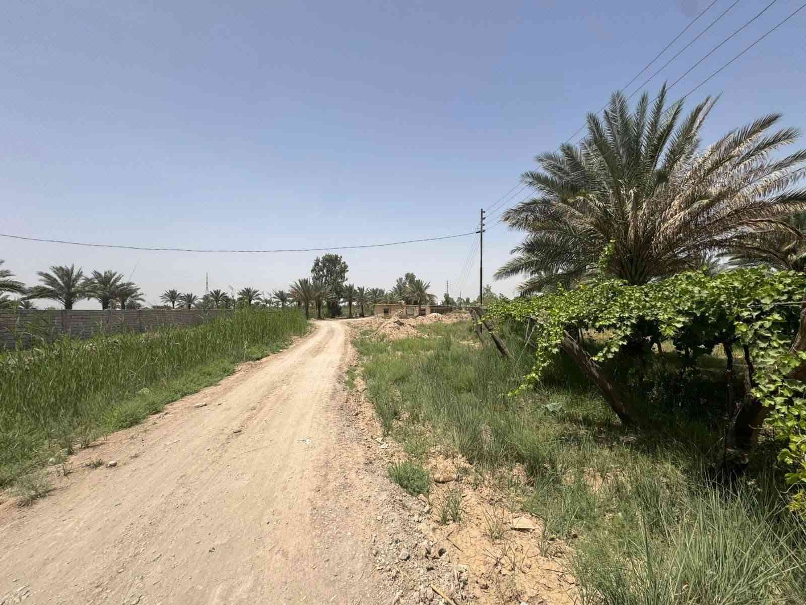 أرض طابو زراعي • ٢ دونم • هوى الشام