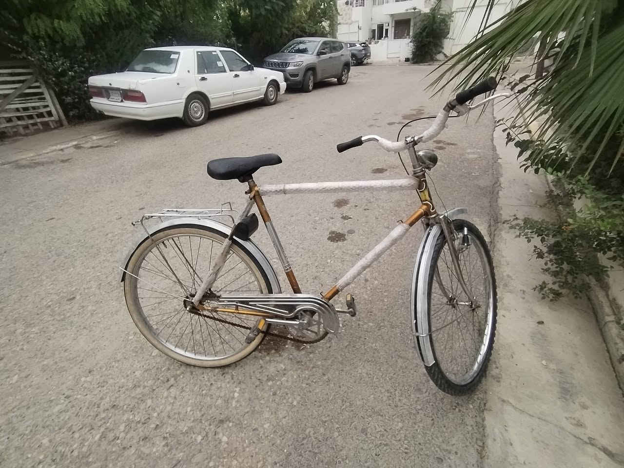 بايسكل كلاسيكي • ٢٦ عريض • مقعد عريض