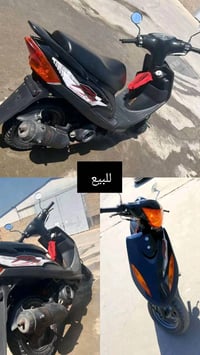 ماكس عدلة • مراوس سكنس • اوراق اصولية