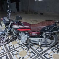 CG150 • عنكبوت • اوراق