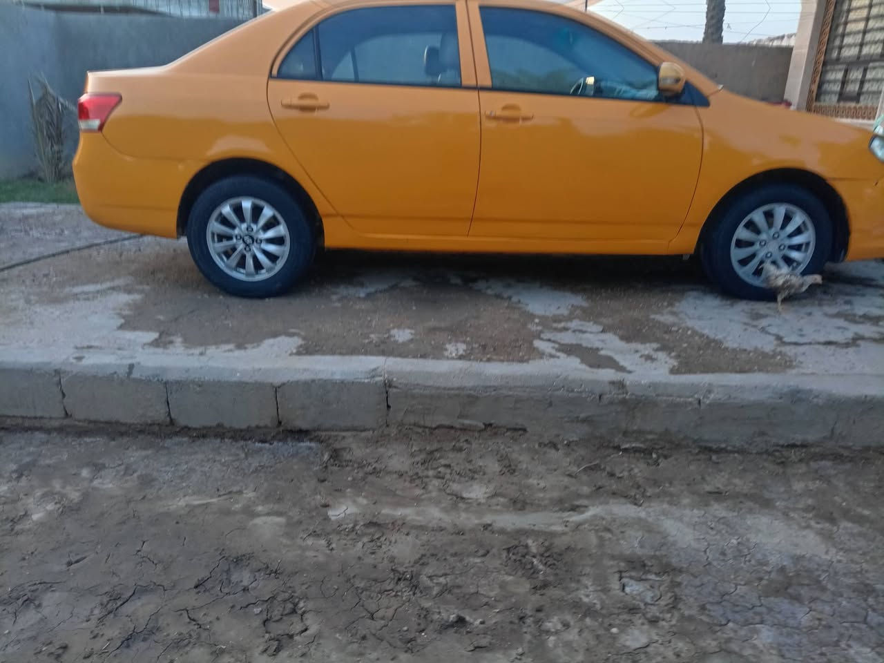 السلام عليكم حبايب كلبي بي وايدي موديل ١٣ شرط مكينه كير تبريد حداديه تخم تاير كفاله سياره معمره بيدي شرط مذب عليه ربع دينار سياره جاهزه وخير من الله احله منل صور بسمي تحويل ثاني يوم مصفره هيئه وغرامات شرط سياره تخبل السعر 40 وبيه مجال مكاني بابل قرب العلويه شريفه بنت الحسن ***********
