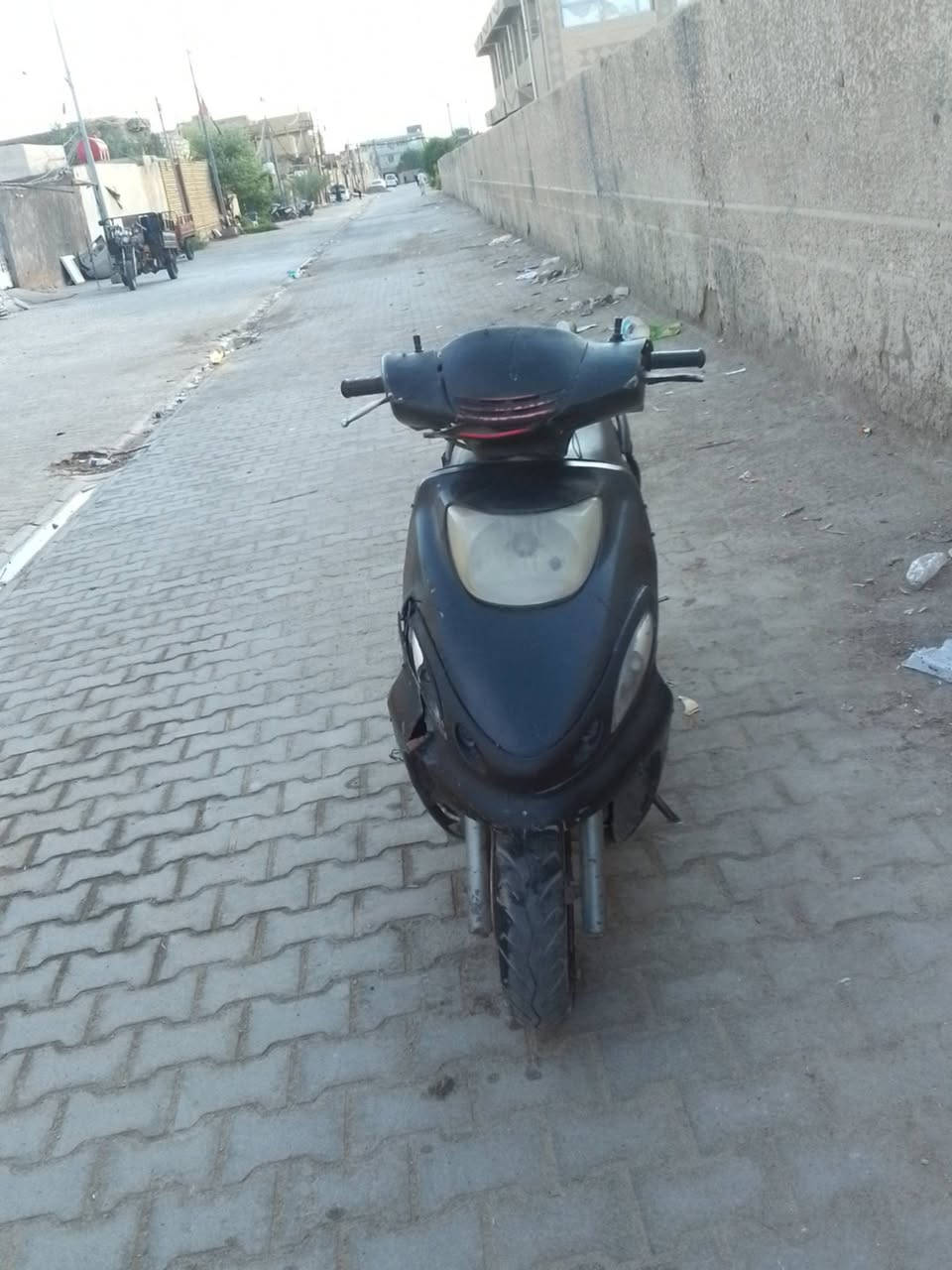 دولفين • فحل • تبخير
