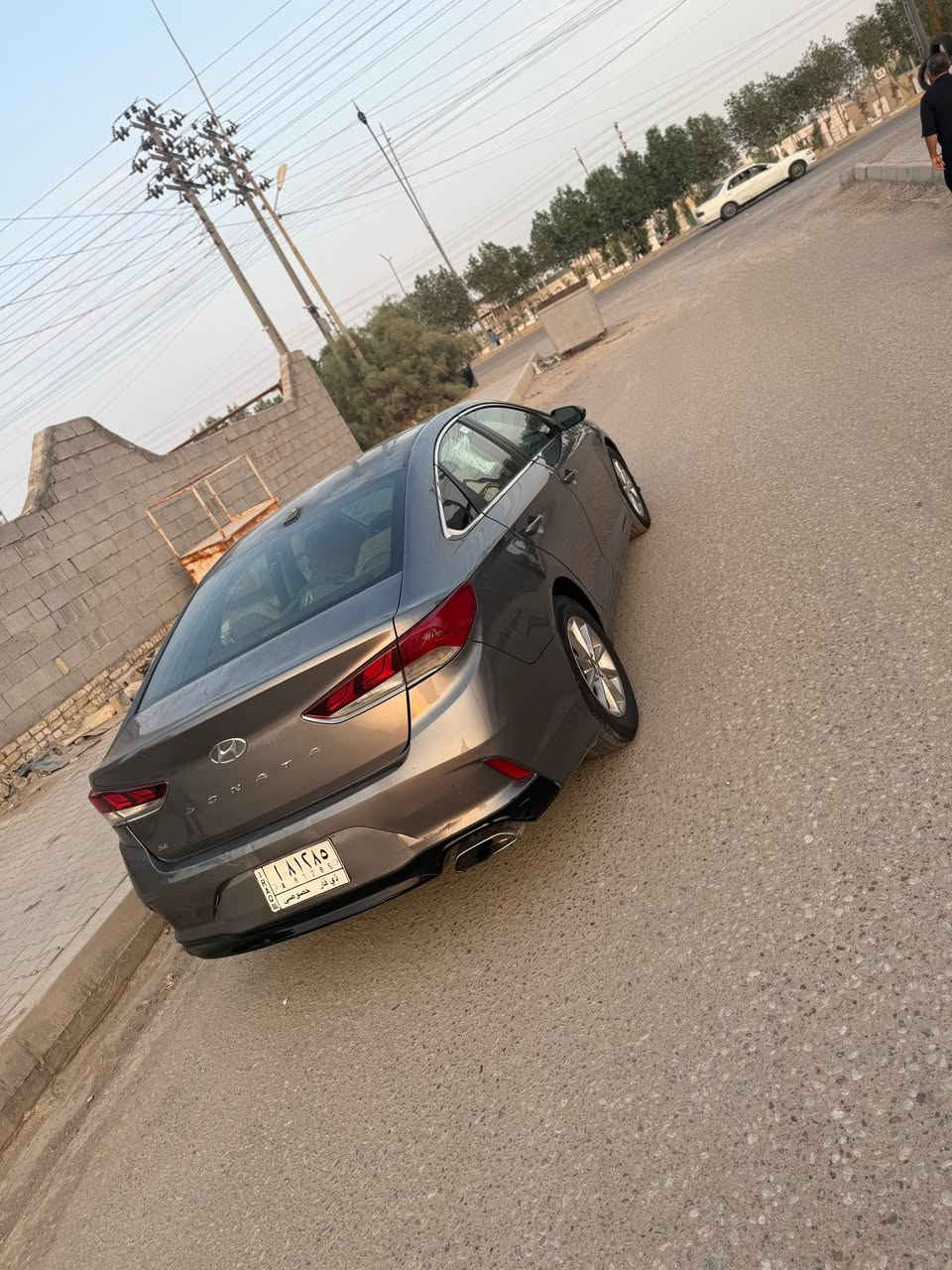 سوناته • ٢٠١٨ • البصره القرنه