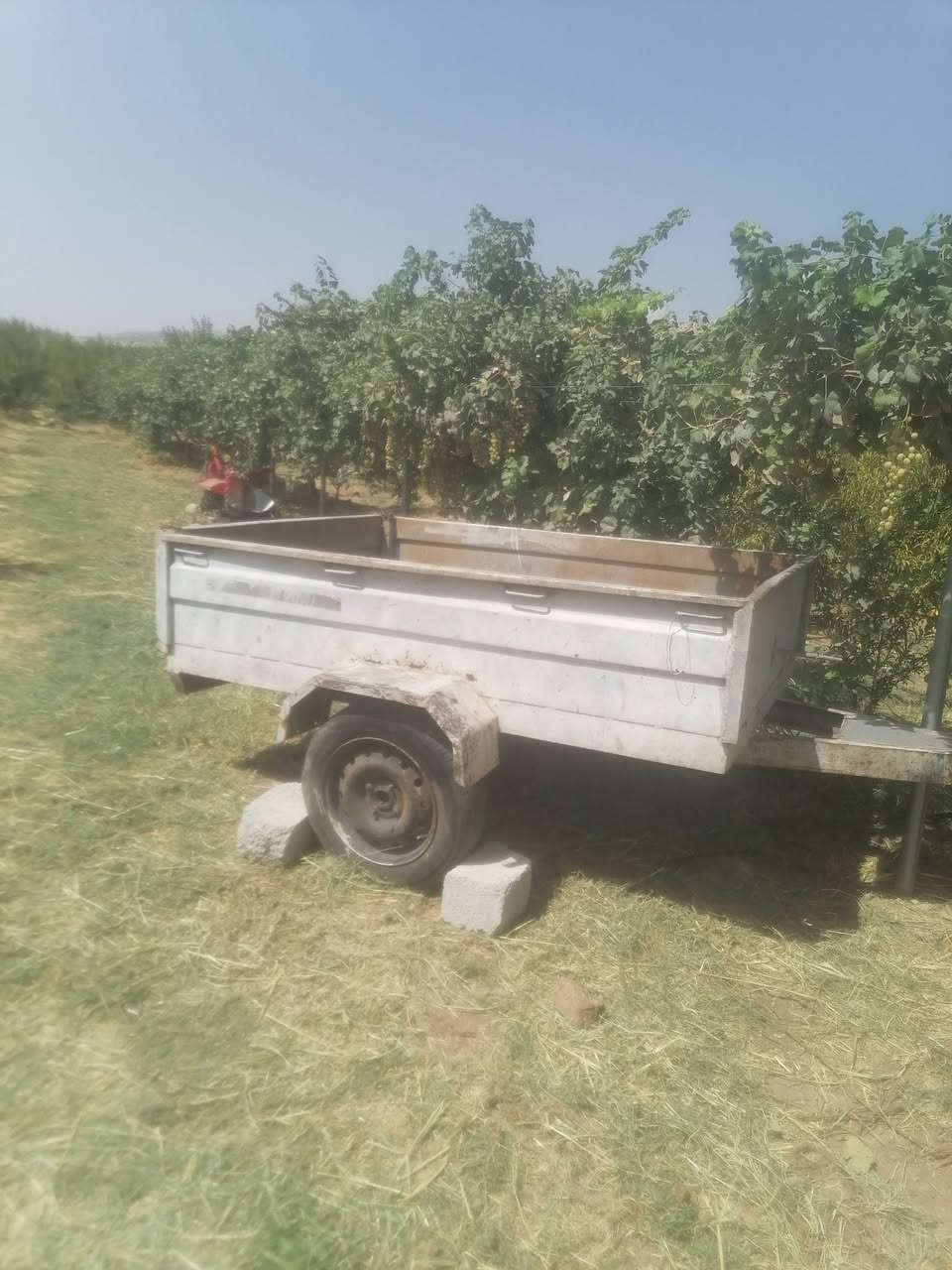 السلام عليكم تركتور بو فروتنێ یە ژ جورێ کابوتا (یابانی) حجم 19.5 بالتەو گێسن و خرماشە و عربانە ل گەلن ت/***********

