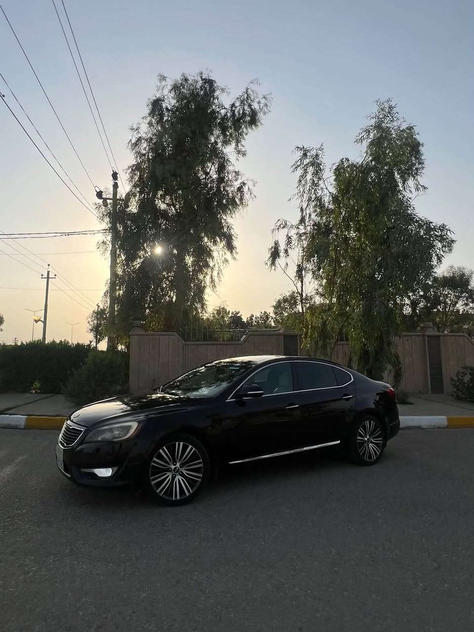 كدنزا فول • ٢٠١٢ • بانوراما