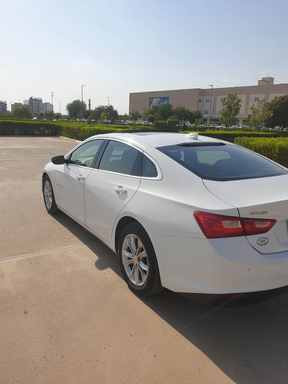 للبيع ماليبو ( 2024 ) LT 2
السعر 128مجال بسيط

مكينة 1.5L توربو 

ماشية 54 فقط 

المواصفات : 1/1 
-بانوراما 
-رادار امامي وتوقف ذاتي 
-حساسات خلفية 
-تحديد المسار 
-بصمة + تشغيل عن بعد 
-ويل كب
-هيترات الكشنات وكرسي كهرباء 
-تحكمات ستيرن + مثبت سرعة 
-مانع انزلاق 
-اوتو ستوب
-شاشة + بلوتوث + واي فاي وكار بلي 
-كامرة خلفية 
-مدخل usb + aux + type c
-تبريد قطعتين 
-هاند بريك بصمة  
-حدادية زيرو 

السيارة بحالة الوكالة
فقط جاملغ صبغ 
مع نصف جاملغ خلفي صبغ امريكي

مكان السيارة اربيل 
رقم كاتي 
*********** أربيل, العراق
