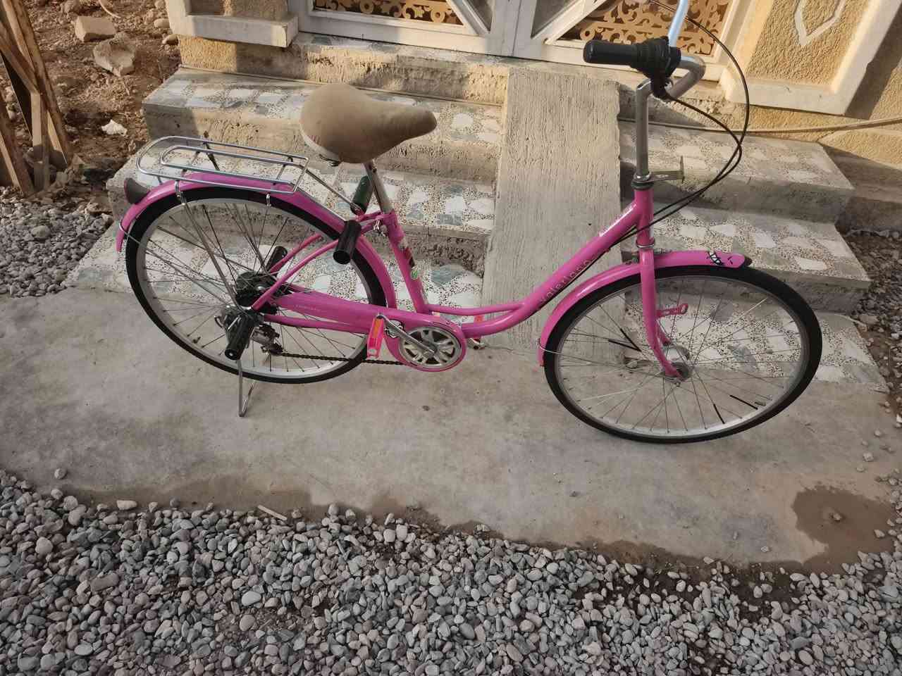 باسكل • حجم ٢٦ • موديل ٢٠٢٠