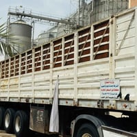 عربانة • للبيع • شغالة