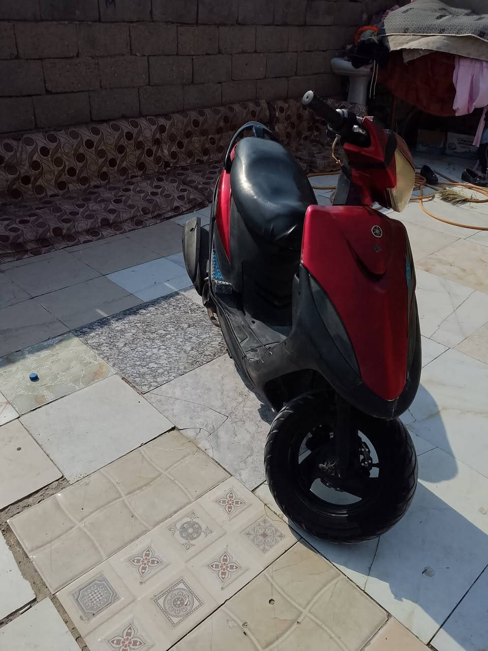 ماكس عدلة • زنون • معدل