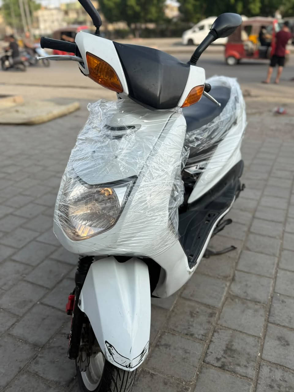 سكنس • ياباني • معدل