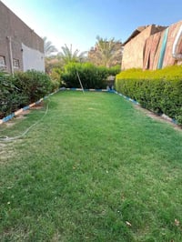 الدورة كفائات بغداد • ١٥٠م • سند ٢٥