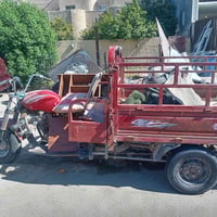 ستوته  أوراقها ضايعه سعرها ٤٠٠ رقمي ٠٧٧٠٢٥٦٧٨٦٤