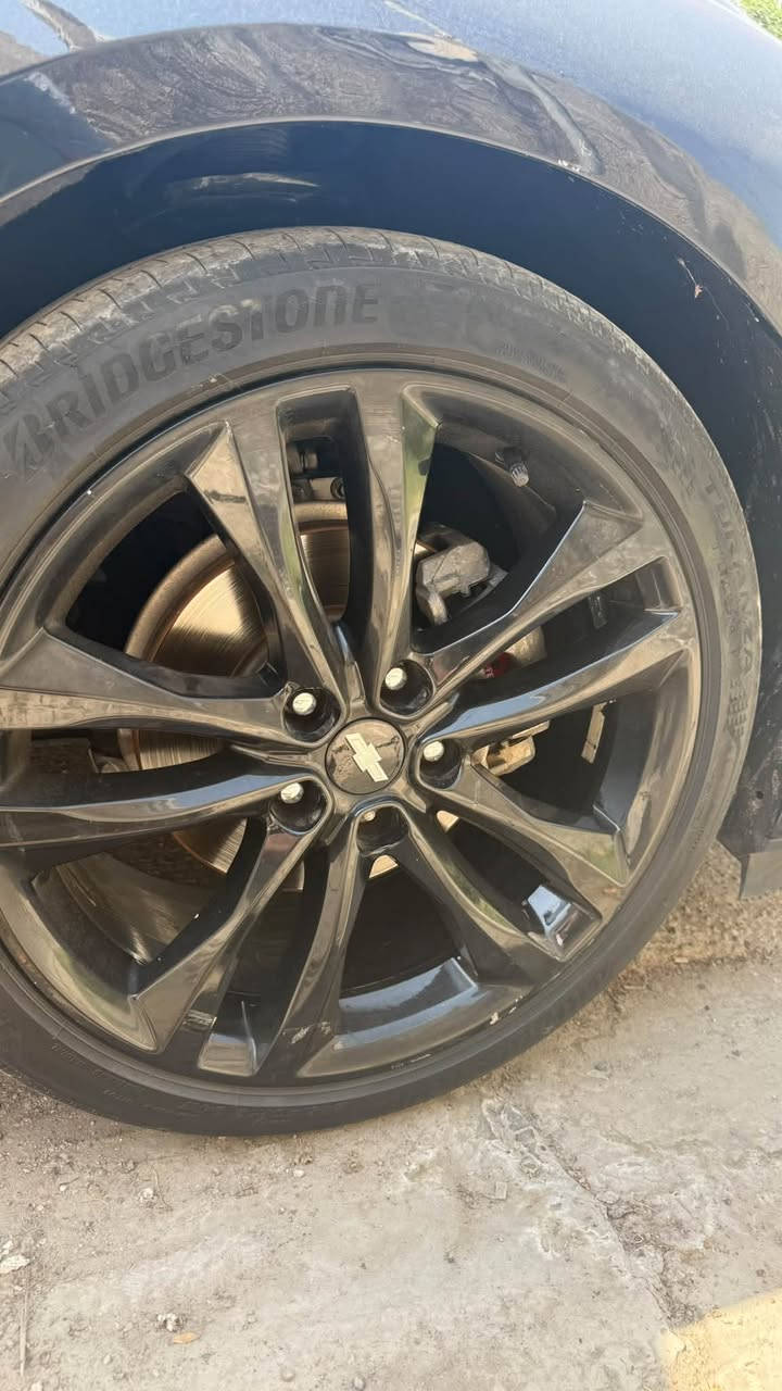 للبيع فقط بدون مراوس
ويل ماليبو بريمير حجم ١٩ اسود بلادي بدون صبغ مع تخم تاير برجستون مستعمل قليل 
السعر ٥٥٠ الف مكاني بغداد ***********
