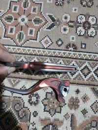 سكنس • كوسو • بلادي