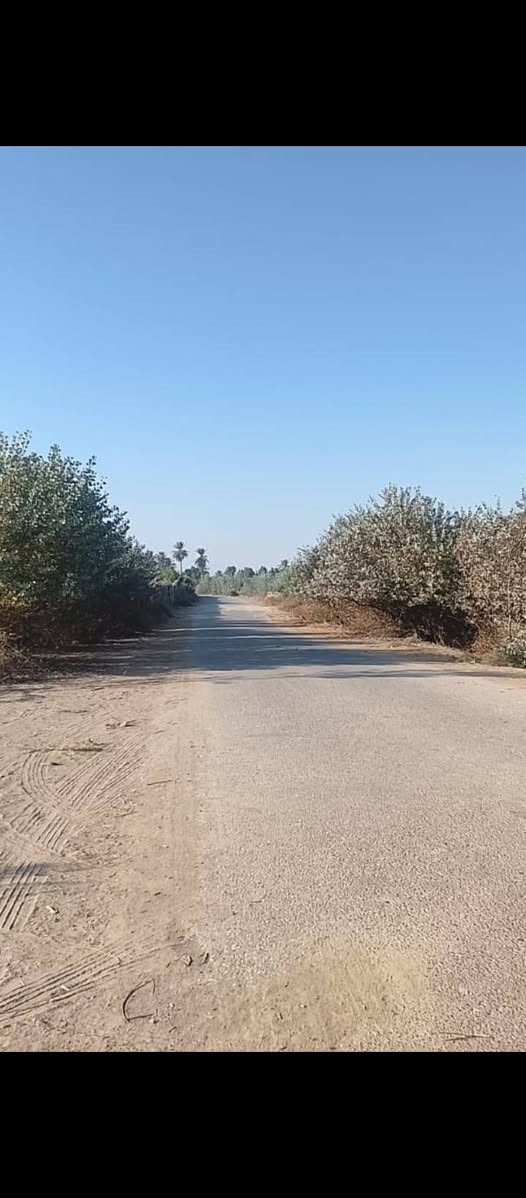 ارض زراعية للبيع طابو زراعي مساحه 30دونم تقع على الشط مباشره واجهه 200متر تتوفر فيها جميع الخدمات تبليط ومي سقي  ومي اساله وكهرباء الارض مزروعه بكامل موقع الارض شط حله ديوانيه للاتصال أو الاستفسار ***********
