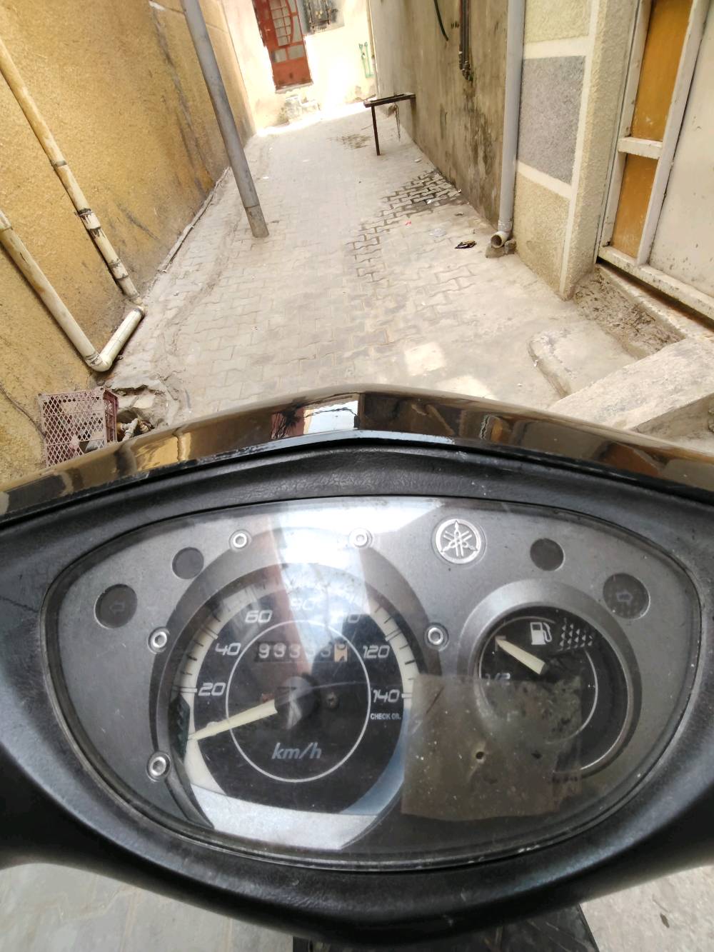 ماكس ثعلب • مو شارع • مكفولة