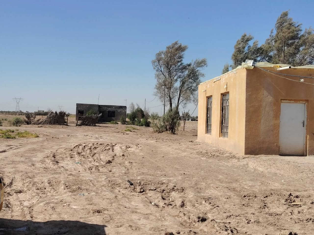 أرض زراعية • ٣٠ دونم • بابل ناحية النيل