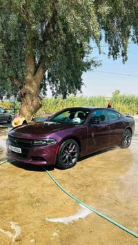 تشارجر SXT • ٢٠٢١ • رقم أربيل