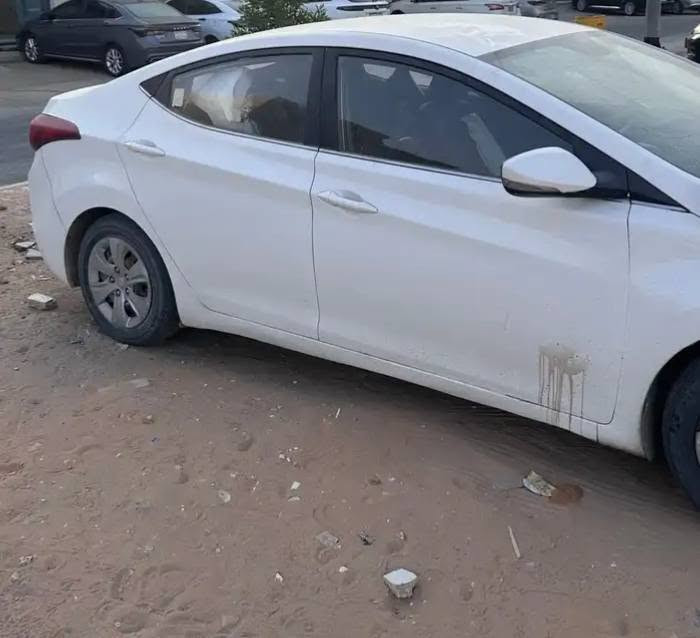 افانتي • ٢٠١٦ • رقم اربيل