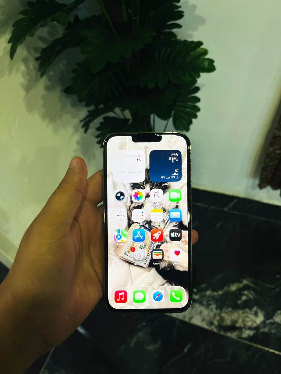 13 برو ماكس 😳
لون مميز ذهبي جلخ وحد مبي ضمان سبوع 
ذاكر128
بطاريه 100
Zaدبل سيم
مستبدل شاشه وبطاريه اصلي فيس ايدي شغل 
جهاز كله شغل بدون اي عطل كامره فول😍 
سعرو ٤٨٠ وبي مجال كلش بسيط رقمي ***********
تواصل فقط واتساب

نص مكتوب في الصور:
- 9:16 LTE
- حول
- الاسم
- iPhone
- إصدار iOS
- 26.6.1
- اسم الطراز
- iPhone 13 Pro Max
- رقم الطراز
- MLH63ZA/A
- الرقم التسلسلي
- XPXWHVY77M
- انتهت صلاحية التغطية
- سجل تاريخ القطع والخدمة
- الأغاني
- الفيديوهات
- ٣٠٢
- الصور
- ٨٧٦
- التطبيقات
- السعة
- ٤١٢,٨ غيغابايت
- متوفرة
- ٥٠,٤ غيغابايت