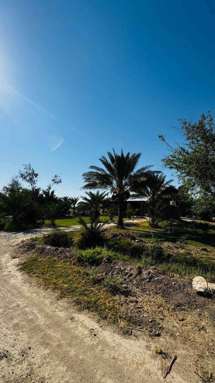 مكلف بالنشر مكلف  بالنشر
ارض  زراعيه 8دونم  تحتوي ع بيوت عدد 2
مكان فرع الامام  قريبه ع شارع الصويره 
للاستفسار ع الرقم ‏‪***********‬‏
‏‪***********‬‏
