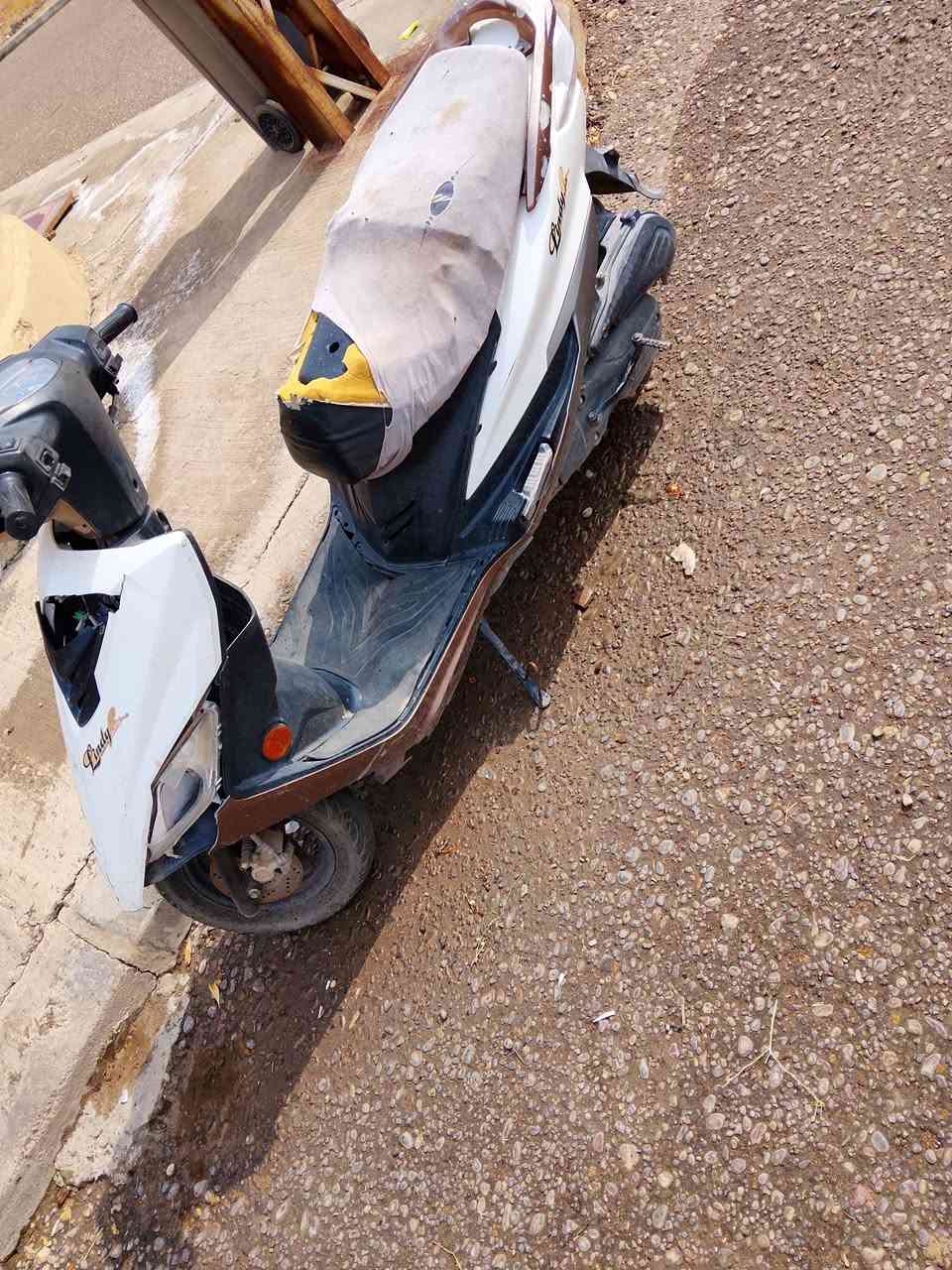 ماكس هاوجن • ٢٠١٦ • واكفه
