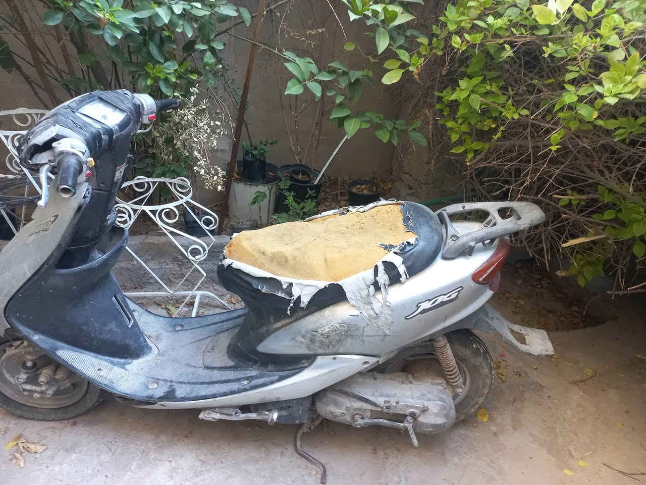 لا توجد تفاصيل
