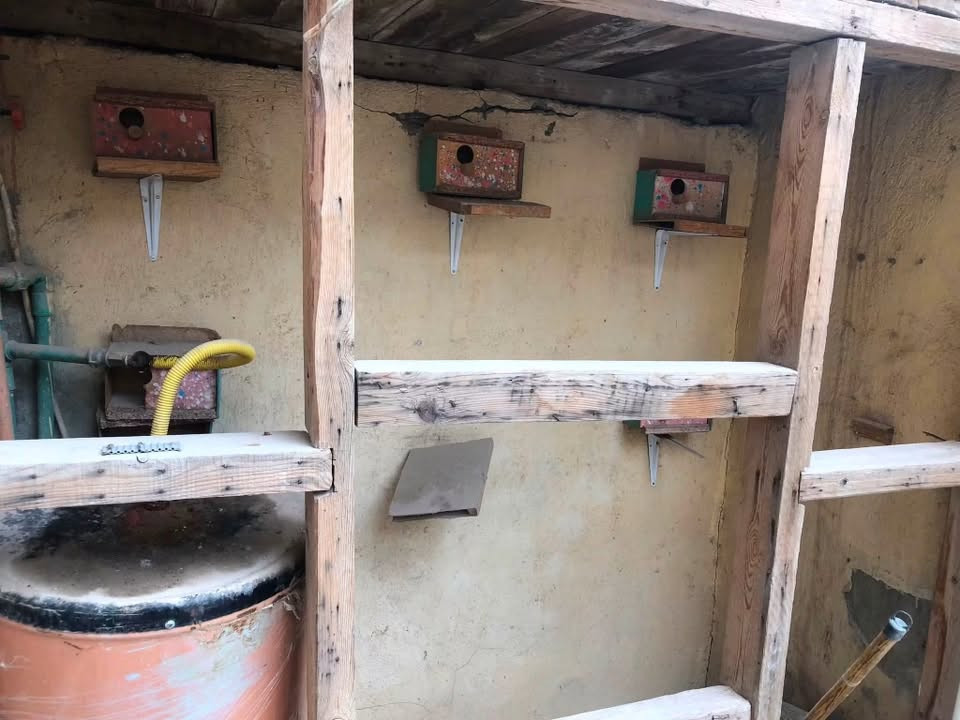 بيت للايجار  بسعر ٢٠٠ 🔐
المساحه 100متر طابو زراعي سند 25مشمول بالتطويب 

أساس وسقف صب كونكريت بنيان بلوك كاشي سيراميك جاهز ماعايز شي ، نضيف البيت وبي سبلت وكيزر وسخان وجهاز

يحتوي على غرفه وصاله واستقبال ومطبخ وصحيات داخليه وخارجيه وطارمه ومكشوفه 

العنوان شارع المطار القديم قرب مدرسه الجنائن يبعد عن شارع العام 70 متر 

للاستفسار اتصال أو واتس اب 

***********
