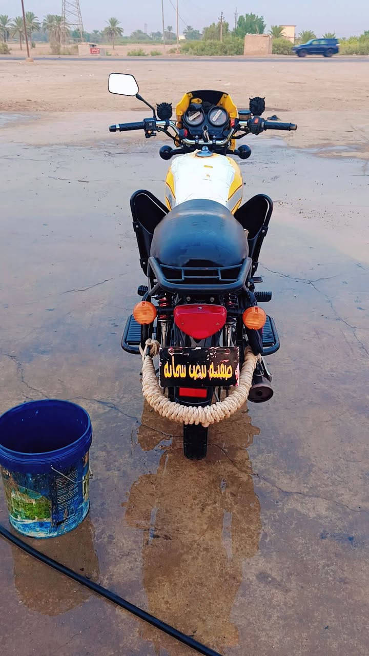 دايون • سكنر • ٢٠٢٢