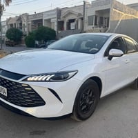 زيتوني • ٢٠٢٥ • اربيل