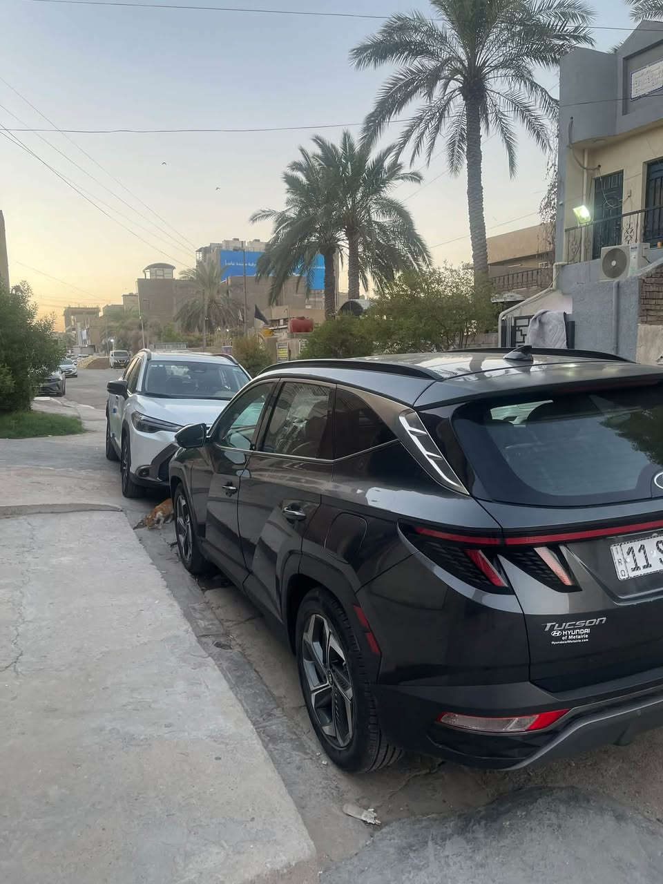 القطعه النادره الما تتفوت توكسان موديل 2022فول مواصفات فوك الفول بونراما ع طول القماره تبريد خير من الله كير دكم لمس سياره من الاخير خير من الله حادثه جدا بسيط تشغيل عن بعد حساسات مينعدن وموصفت الفول معروفه وحادثه مثل ماتلاحضون بلصوره هذه فقط مكانه بغداد للاستفسار ***********
