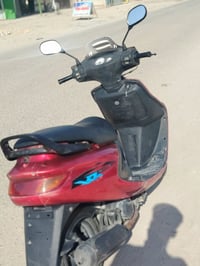 فراشة فحل • تجفيت • نضيفه