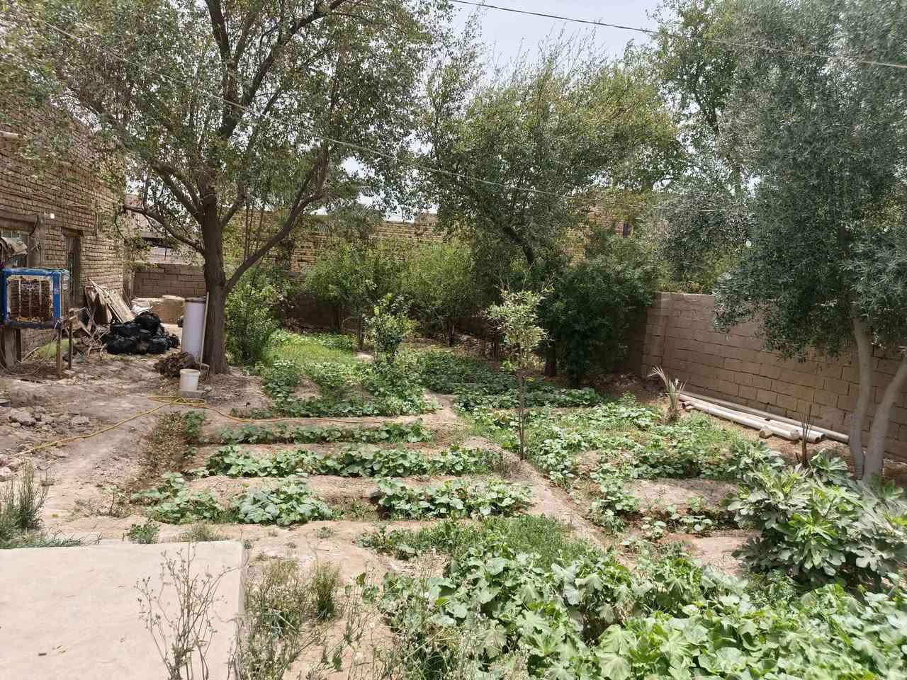 ارض زراعية طابو صرف للبيع

المساحة ربع دونم ٦٢٥م

تحتوي على بيت بناء طابوق يتكون من ثلاث غرف نوم + مطبخ + صالة + براني + صحيات داخلية وخارجية مساحة البناء ٢٠٠م والباقي حديقة تبعد عن شارع ديوانية شافعية ٢٠٠م يوجد ماء + كهرباء + خط مولد

للاستفسار

***********
