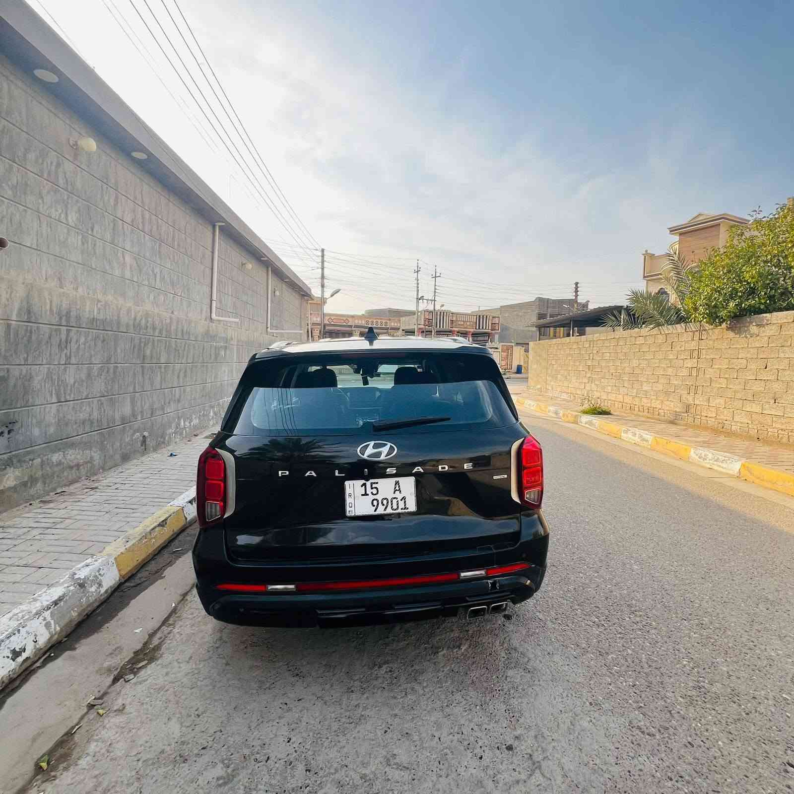 باليسايد • ٢٠٢٣ • ضربة جهة السائق