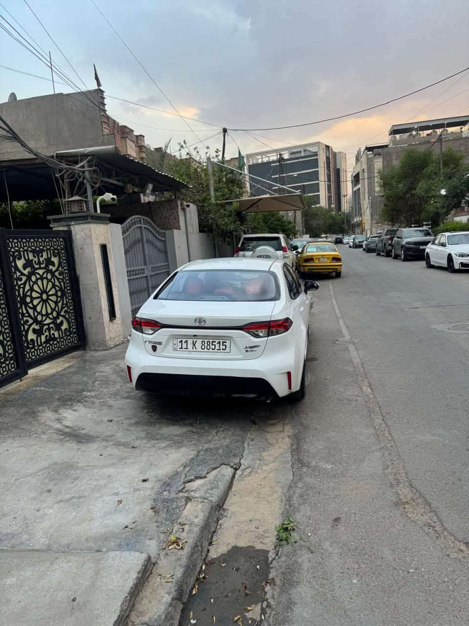 كورلا أمريكي • ٢٠٢٥ • رقم بغداد