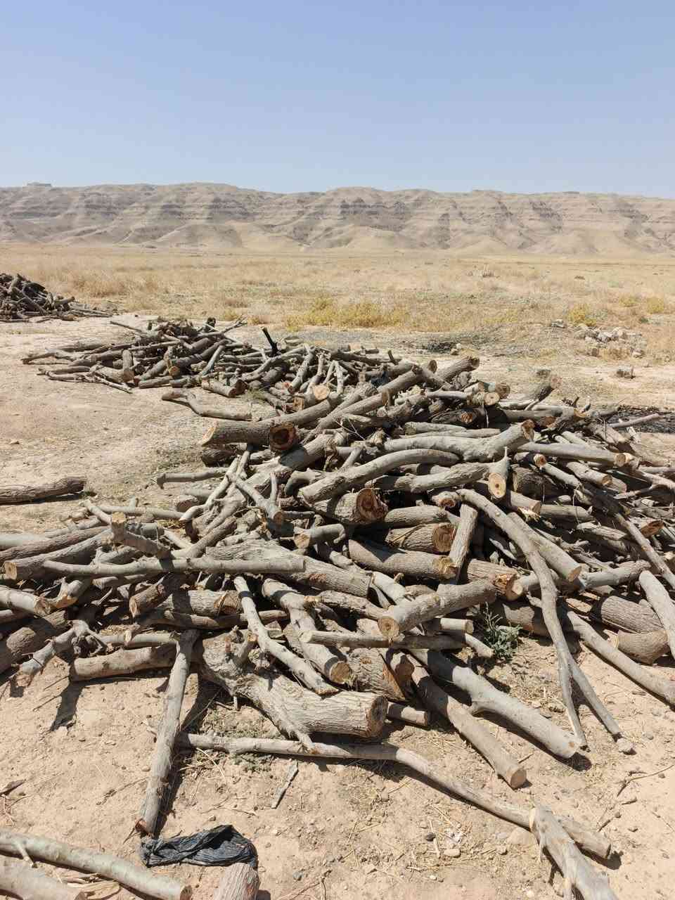 خشب للبيع نوع غرب مكاني صلاح الدين قضاء الشرقاط 
***********
