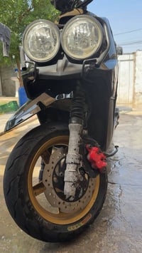 سكنس جبلي • للبيع
