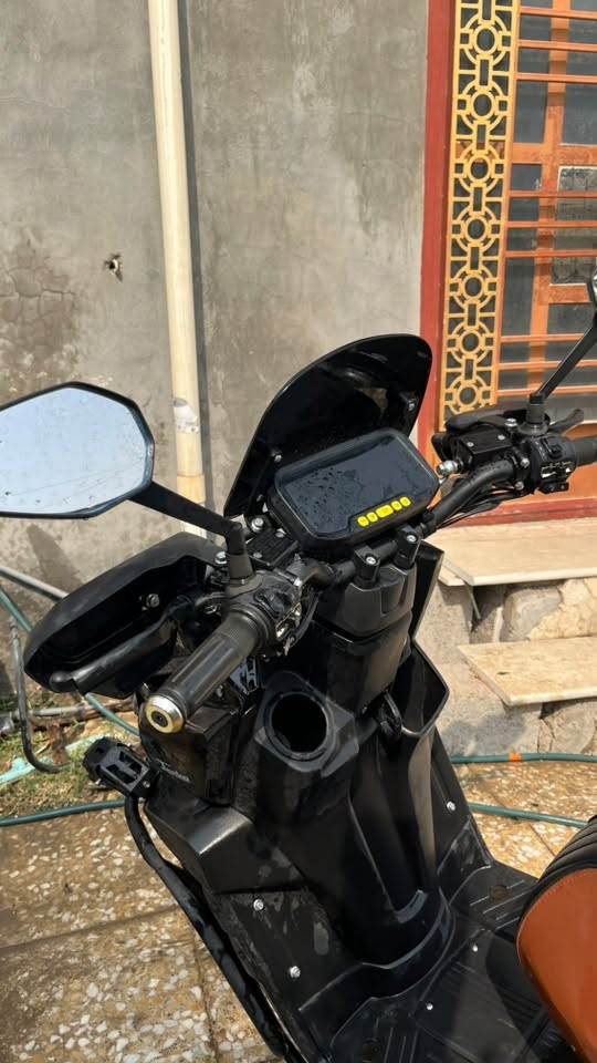 اباحي • جبلي • ٢٠٢٥
