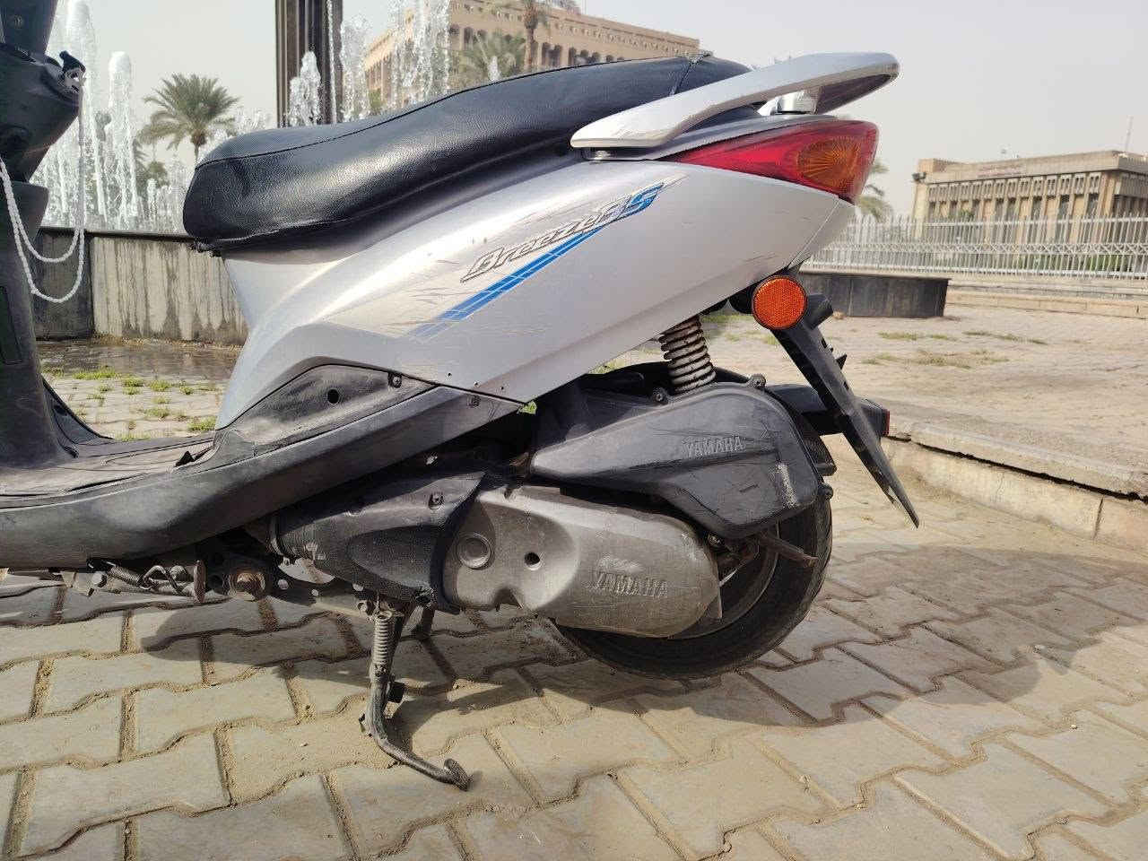 بريز ببغاء • فضي • مامفتوح