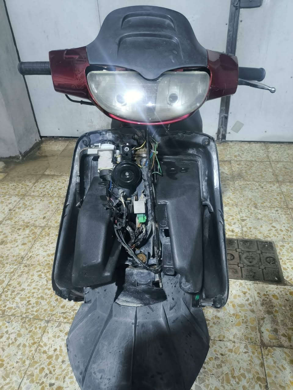 فراشة • فحل • نقص بطاريه
