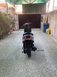 ماكس منغولي • بغداد • للبيع